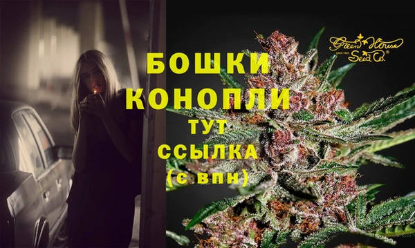 шишки Алзамай