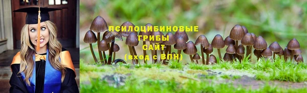 mdpv Алексеевка