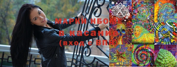 шишки Алзамай