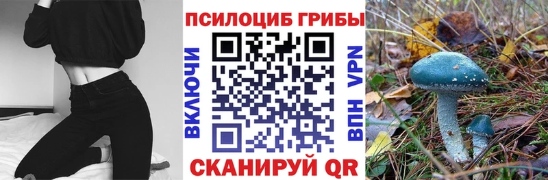 купить   Сасово  Галлюциногенные грибы мухоморы 